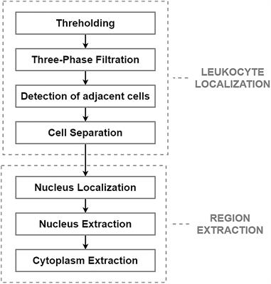 Automated Detection of Acute Lymphoblastic Leukemia From Microscopic Images Based on Human Visual Perception